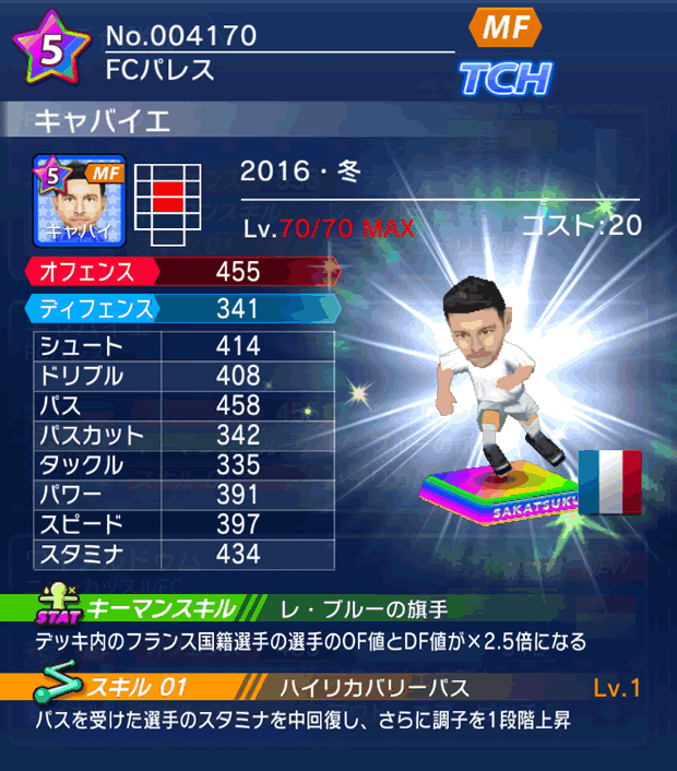 No.04170　キャバイエ【16・冬】