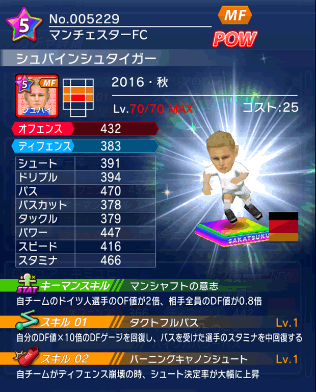 No.05229　シュバインシュタイガー【16・秋】