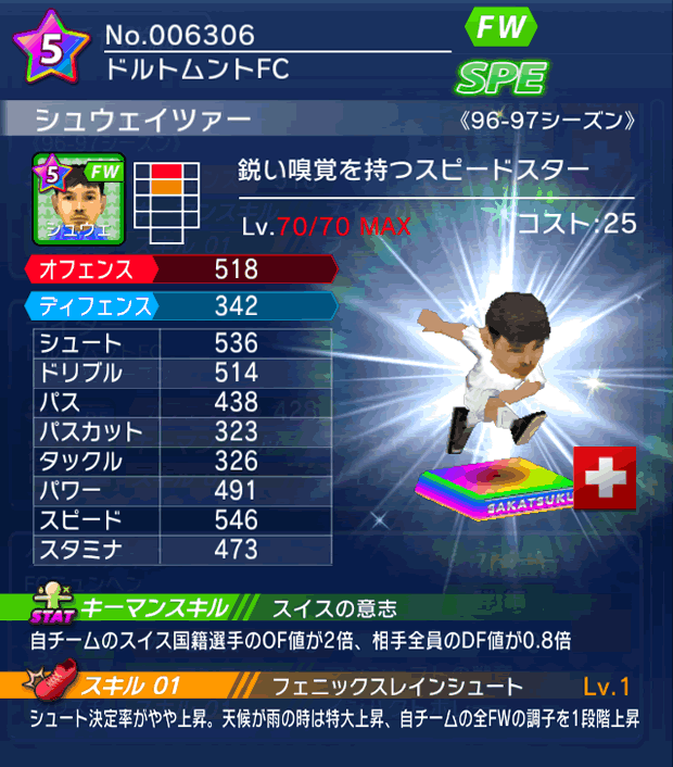 No.06306　シュウェイツァー【96-97LL】